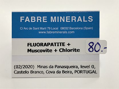 Fluorapatite with Muscovite and Chlorite