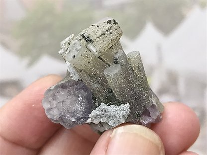 Fluorapatite with Muscovite and Chlorite.