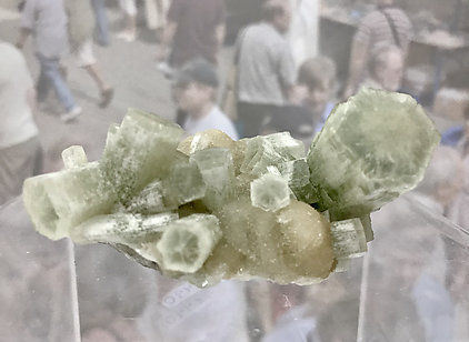 Aragonite with Calcite.