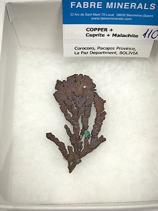 Copper with Cuprite and Malachite. 