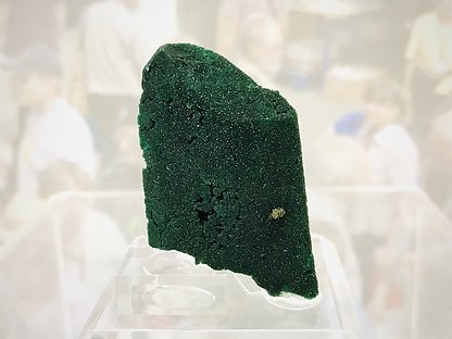 Malachite after Azurite coated by Quartz.