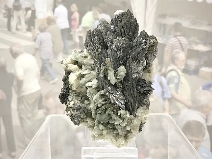 Löllingite with Calcite-Dolomite, Quartz and Magnetite.