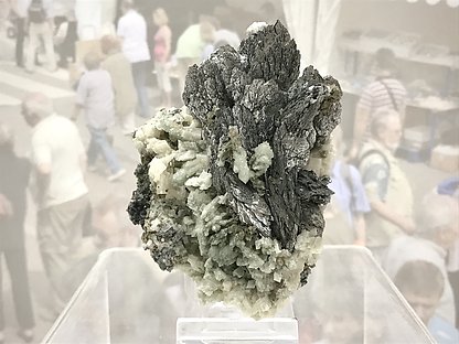 Lllingite with Calcite-Dolomite, Quartz and Magnetite. 