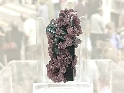 Elbaite with 'lepidolite'. 