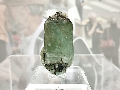 Beryl (variety emerald) . 