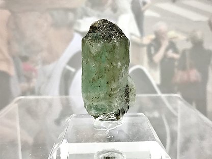 Beryl (variety emerald) . 