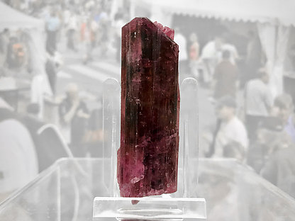 Elbaite (variety rubellite) with Feldspar. 