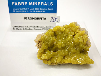 Pyromorphite.