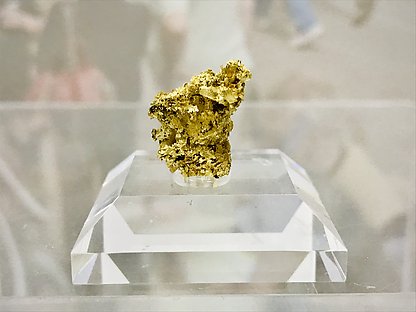 Gold (variety electrum) .