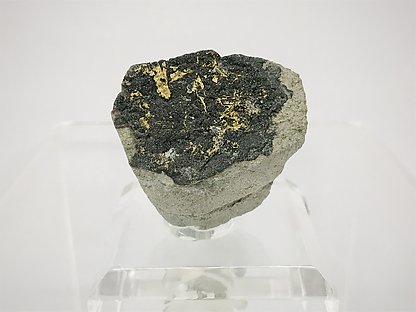 Gold with Sphalerite .