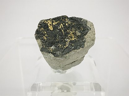 Gold with Sphalerite . 