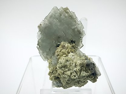 Baryte with Siderite and Pyrite. Rear
