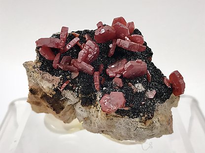 Vanadinite with Mottramite.