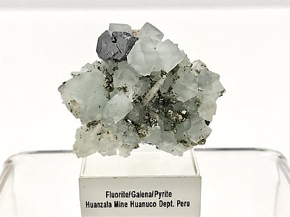 Fluorite (octahedral) with Galena, Calcite and Pyrite. 