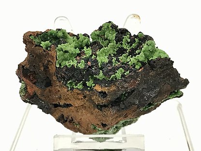 Conichalcite.