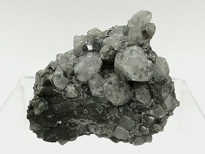 Topaz with Arsenopyrite, Muscovite and Chlorite.