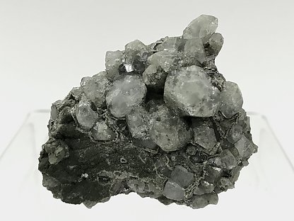 Topaz with Arsenopyrite, Muscovite and Chlorite. 