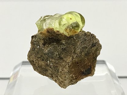 Opal (variety hyalite). 