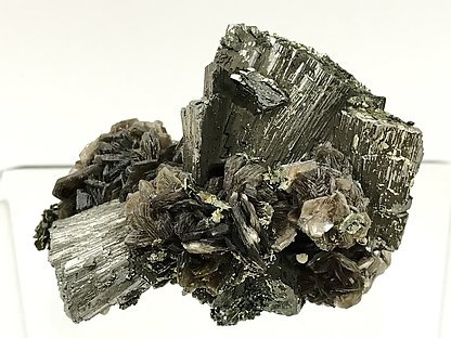 Arsenopyrite-Marcasite with Muscovite. 