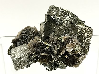 Arsenopyrite-Marcasite with Muscovite.