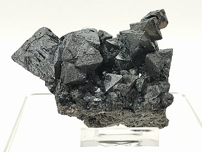 Magnetite (variety martite) on matrix.