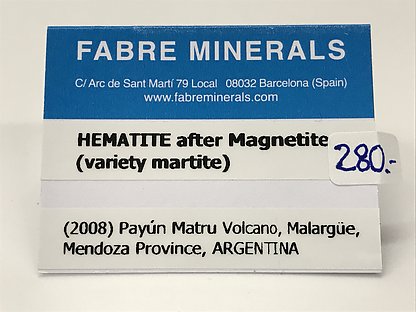 Magnetite (variety martite) on matrix