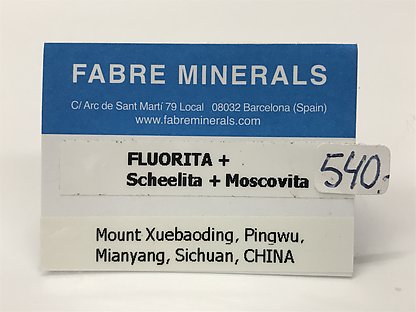 Fluorite (octahedral) with Scheelite and Muscovite