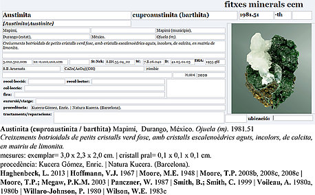 Austinita cuprfera (variedad barthite) con Calcita. 