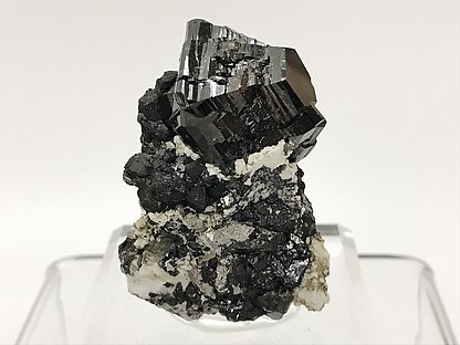 Cassiterite with Calcite, Arsenopyrite and Quartz.