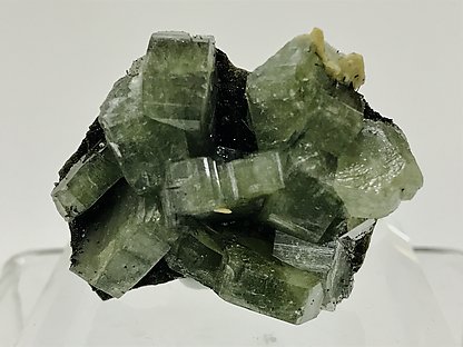 Fluorapatite with Dravite and Siderite. 