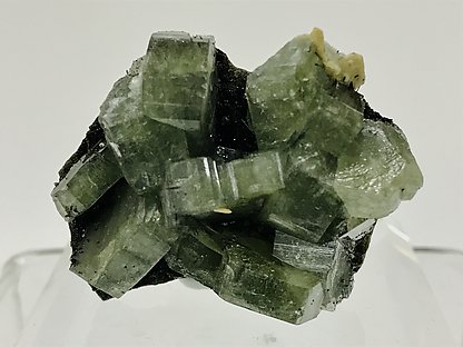 Fluorapatite with Dravite and Siderite.