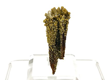 Pyromorphite. Rear