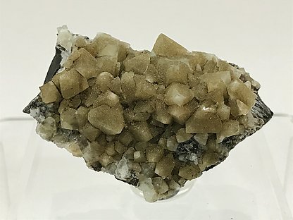 Wardite coated by Childrenite.