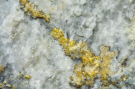 Gold on Calcite. 