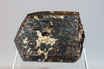 Dravite with Muscovite. Front