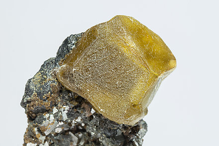 Sphalerite with Arsenopyrite, Magnetite and Muscovita. 