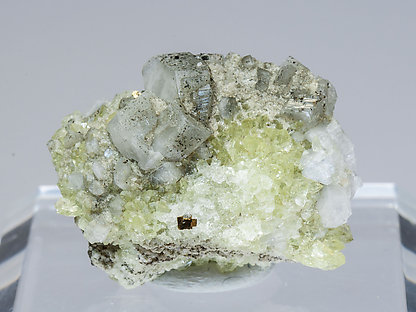 Harmotome with Pyrite and Fluorapophyllite-(K). 