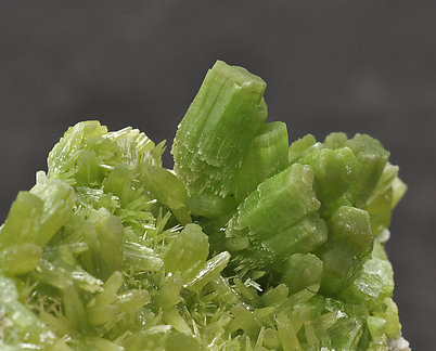 Pyromorphite. 