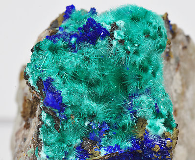 Brochantite with Linarite. 