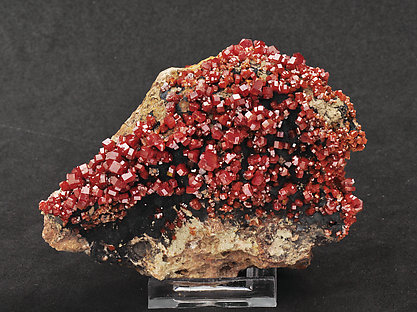 Vanadinite with Mottramite.