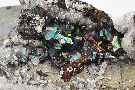 Bornite after Chalcocite and with Calcite. 