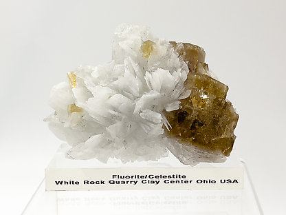 Fluorite with Celestine.