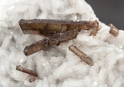 Dissakisite-(Ce)/Allanite-(Ce) with Dolomite. 