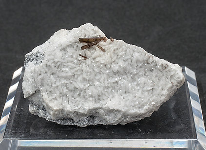 Dissakisite-(Ce)/Allanite-(Ce) with Dolomite. 