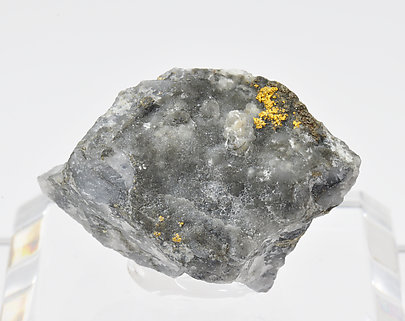 Gold with Pyrite and Quartz. 