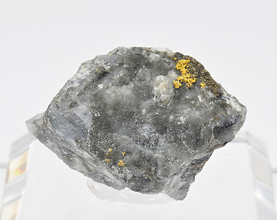 Gold with Pyrite and Quartz.