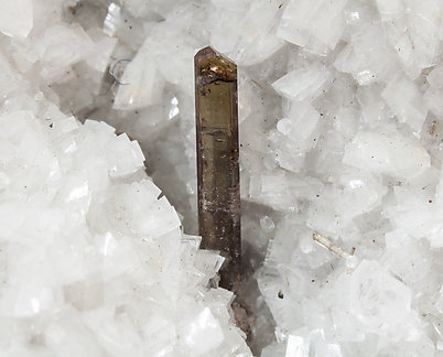 Dissakisite-(Ce)/Allanite-(Ce) with Dolomite. 