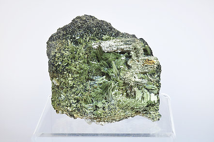 Actinolite With Ferro-actinolite and Prehnite. 