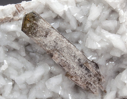 Dissakisite-(Ce)/Allanite-(Ce) with Dolomite. 