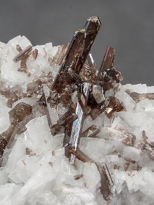 Dissakisite-(Ce)/Allanite-(Ce) with Dolomite. 